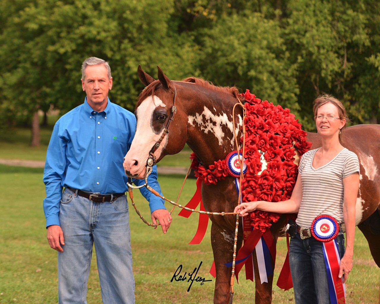 Brother Helmick wins show horse competitions